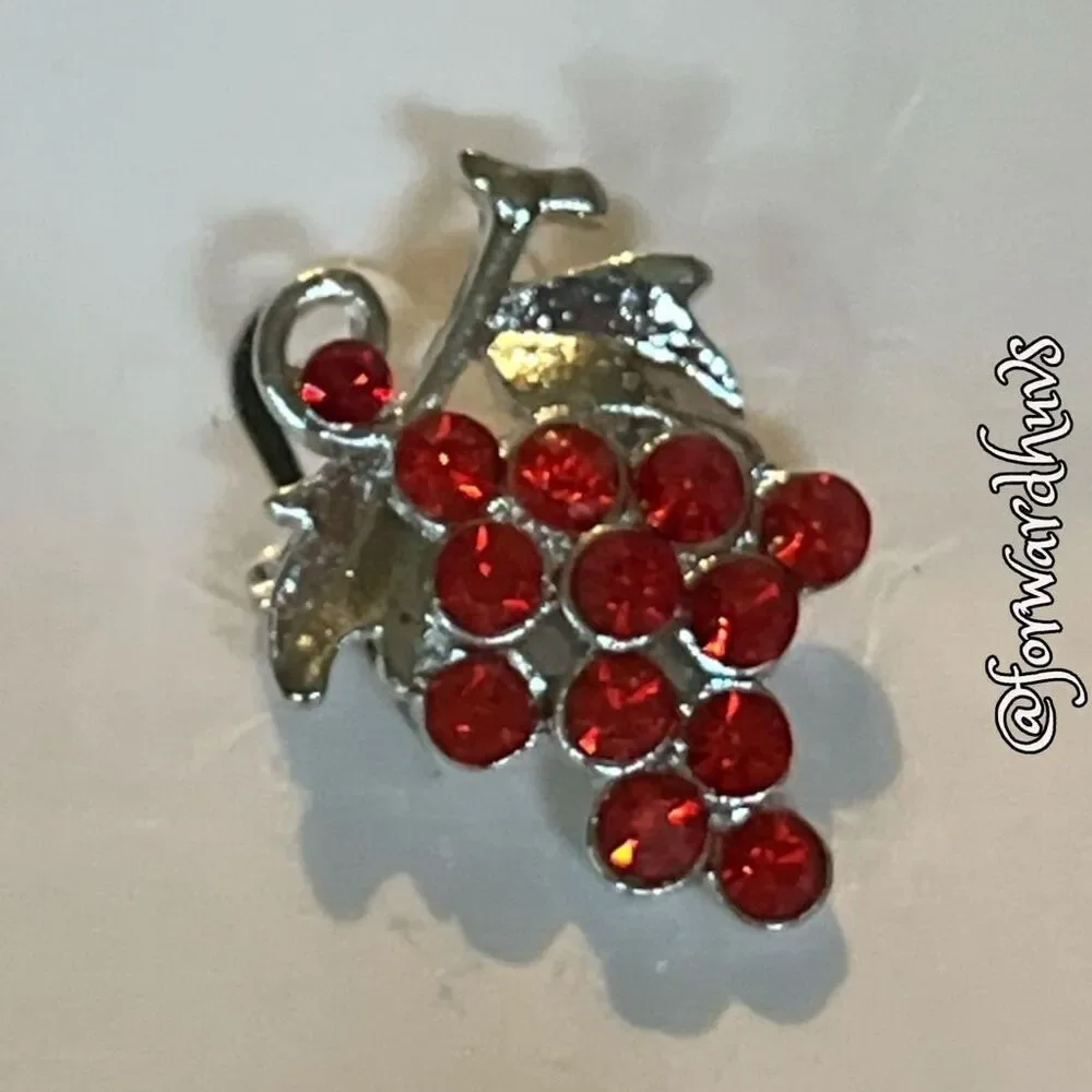 Bundle Sale 3 for $15 | Bijoux by Meera Silver Tone Red Berry Cluster Pin